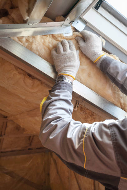 Best Residential Insulation in South Toms River, NJ